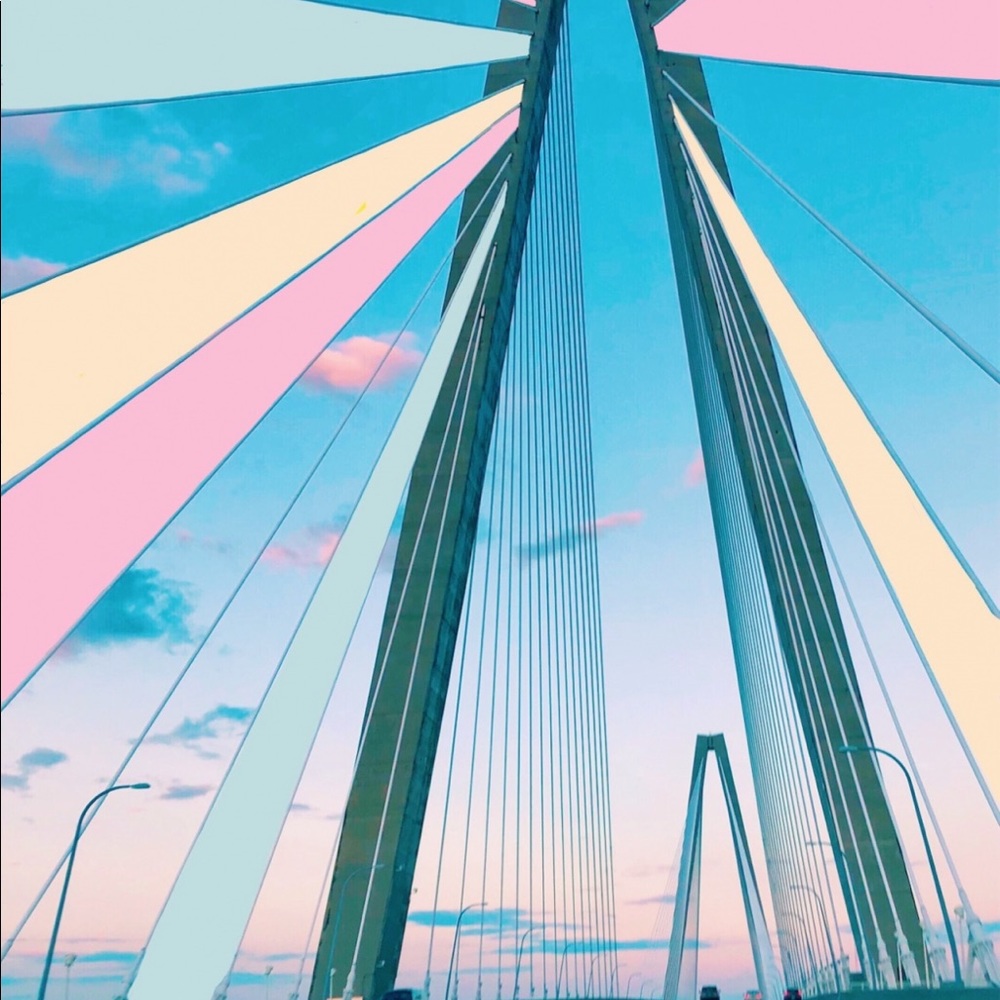 Meet your Posher, Gracie